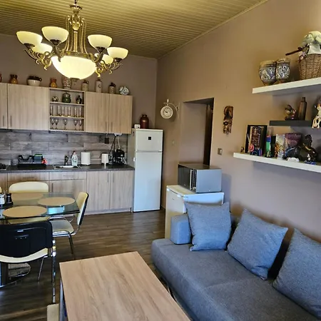 Szofia Guest house *